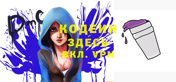 спиды Корсаков