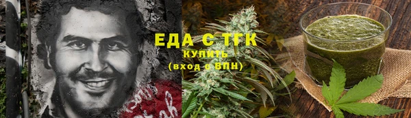индика Костерёво